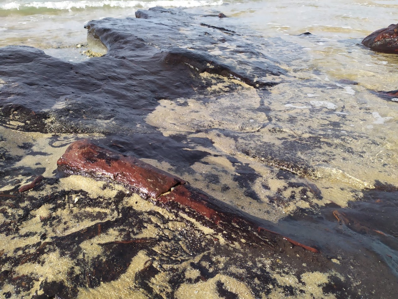 03 - Restos de un bosque fósil en la playa de Ponzos  - 22-02-2021
